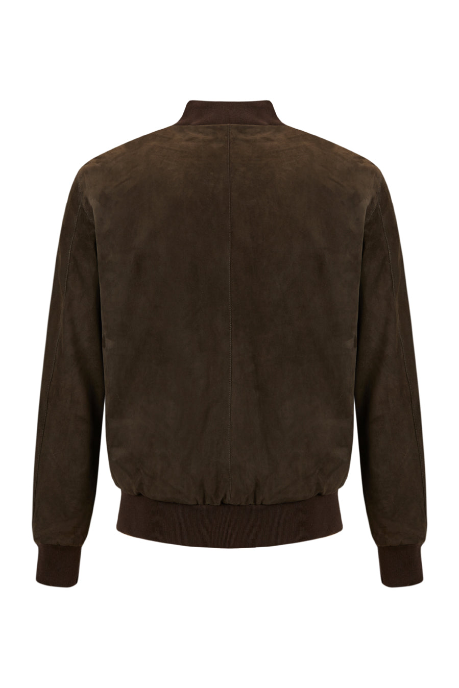 Chaqueta cazadora bomber ante