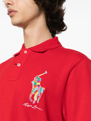 Polo logo multicolor